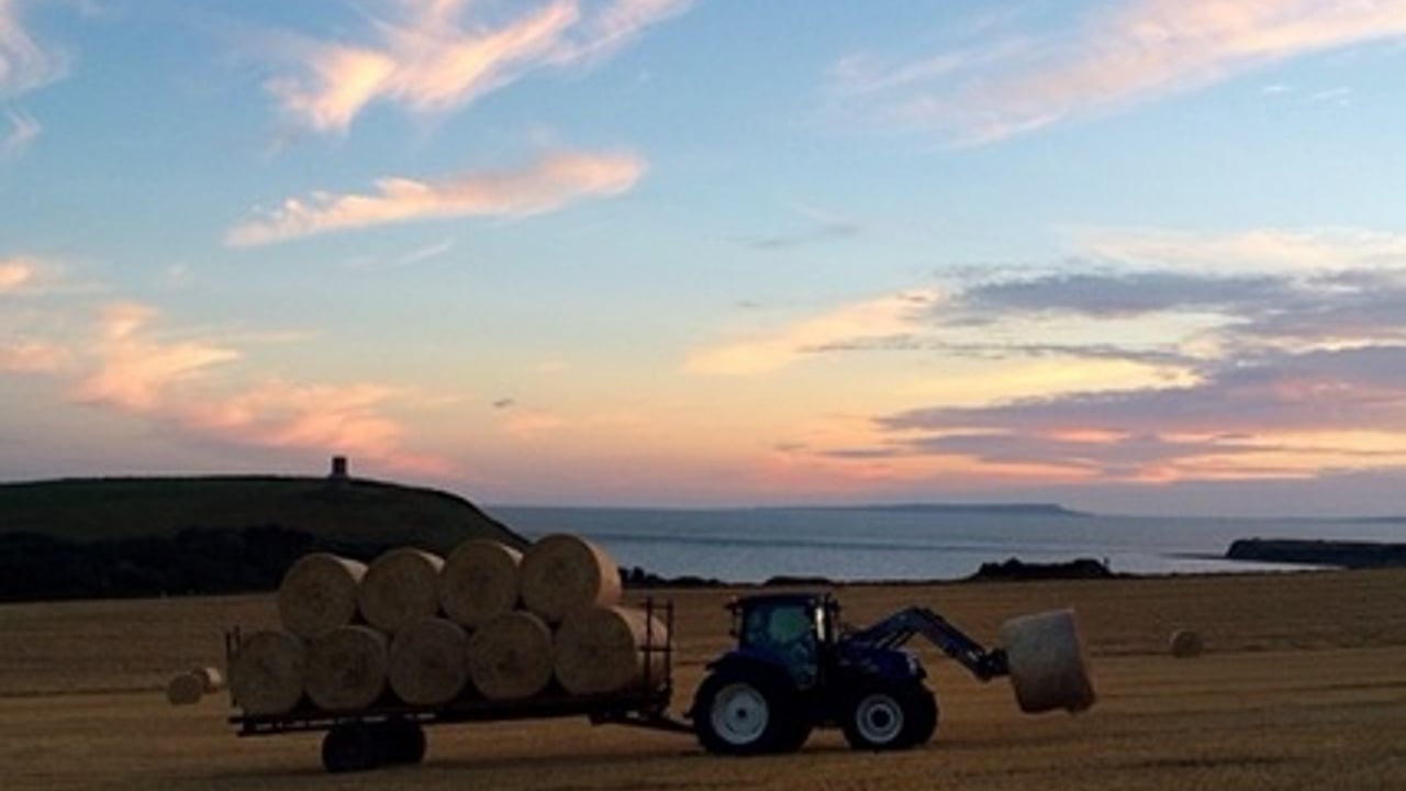 The Hole farm in Dorset, England. Source: Benjamin Hole's Instagram 