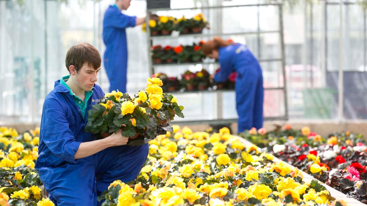 Horticulture students at CAFRE College