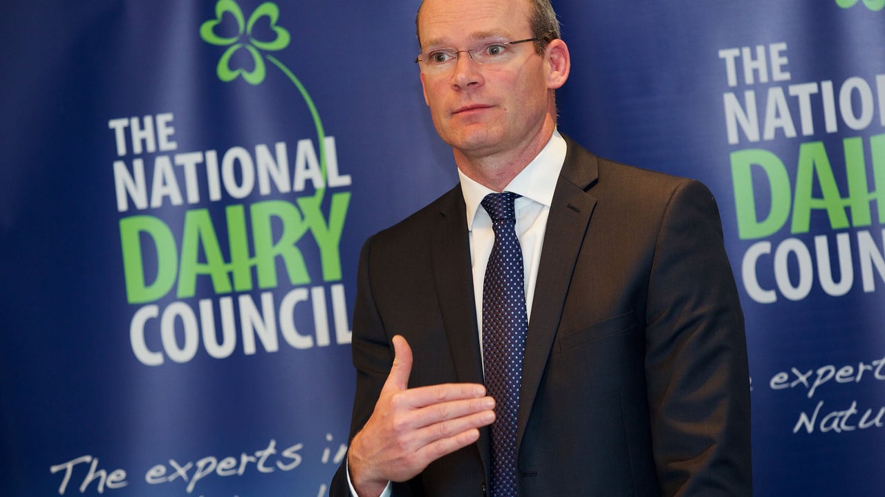 Minister Coveney. 