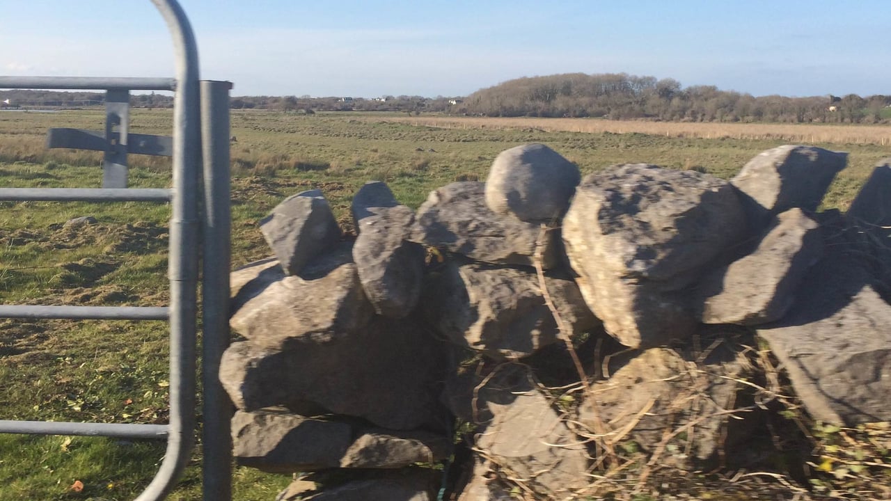 ICMSA 'guarantees' legal challenges against farmland CPOs