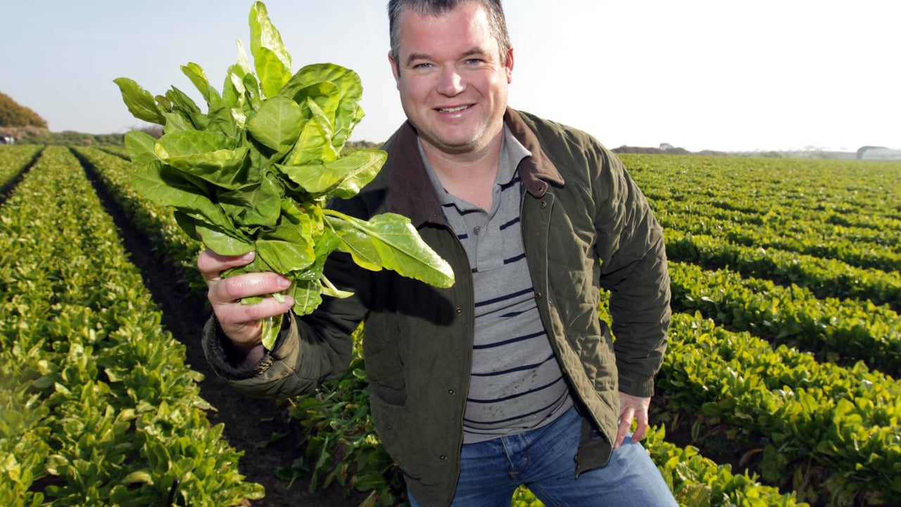 Rush-based spinach grower Colm Leonard