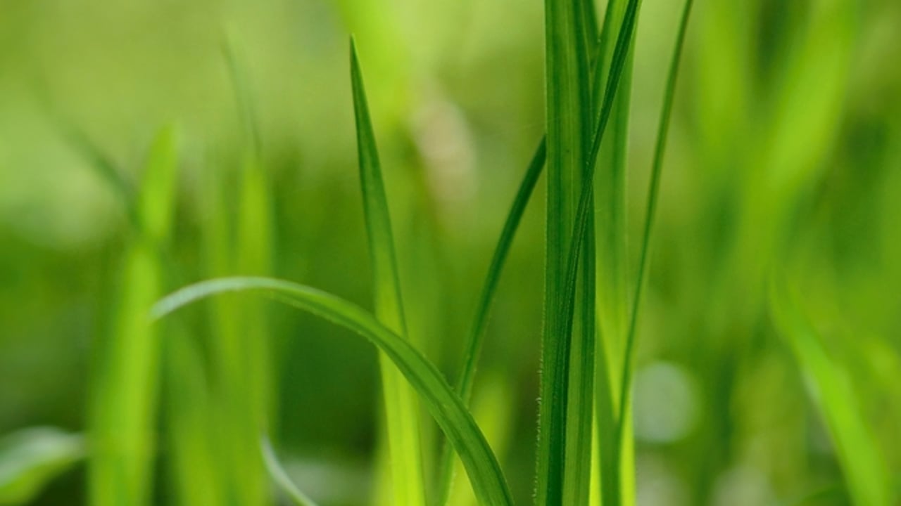 Make the most of your AgriNet software by attending user night
