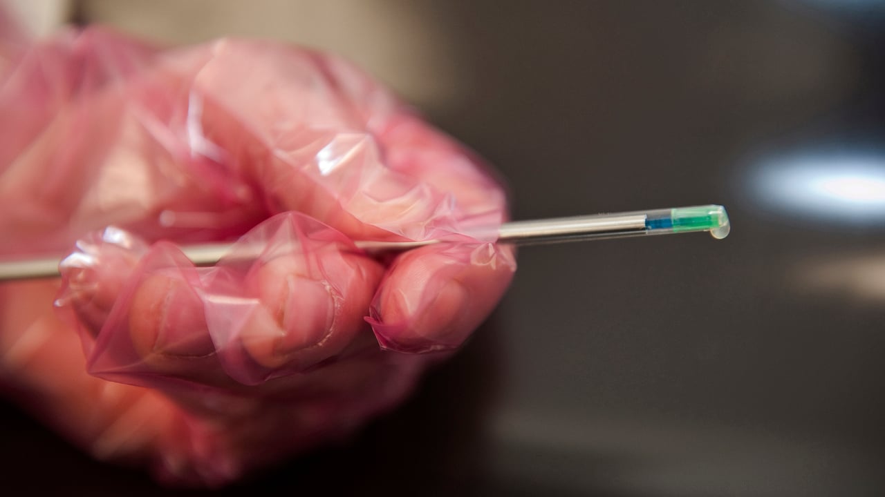 Ireland's second sexed semen lab now operational
