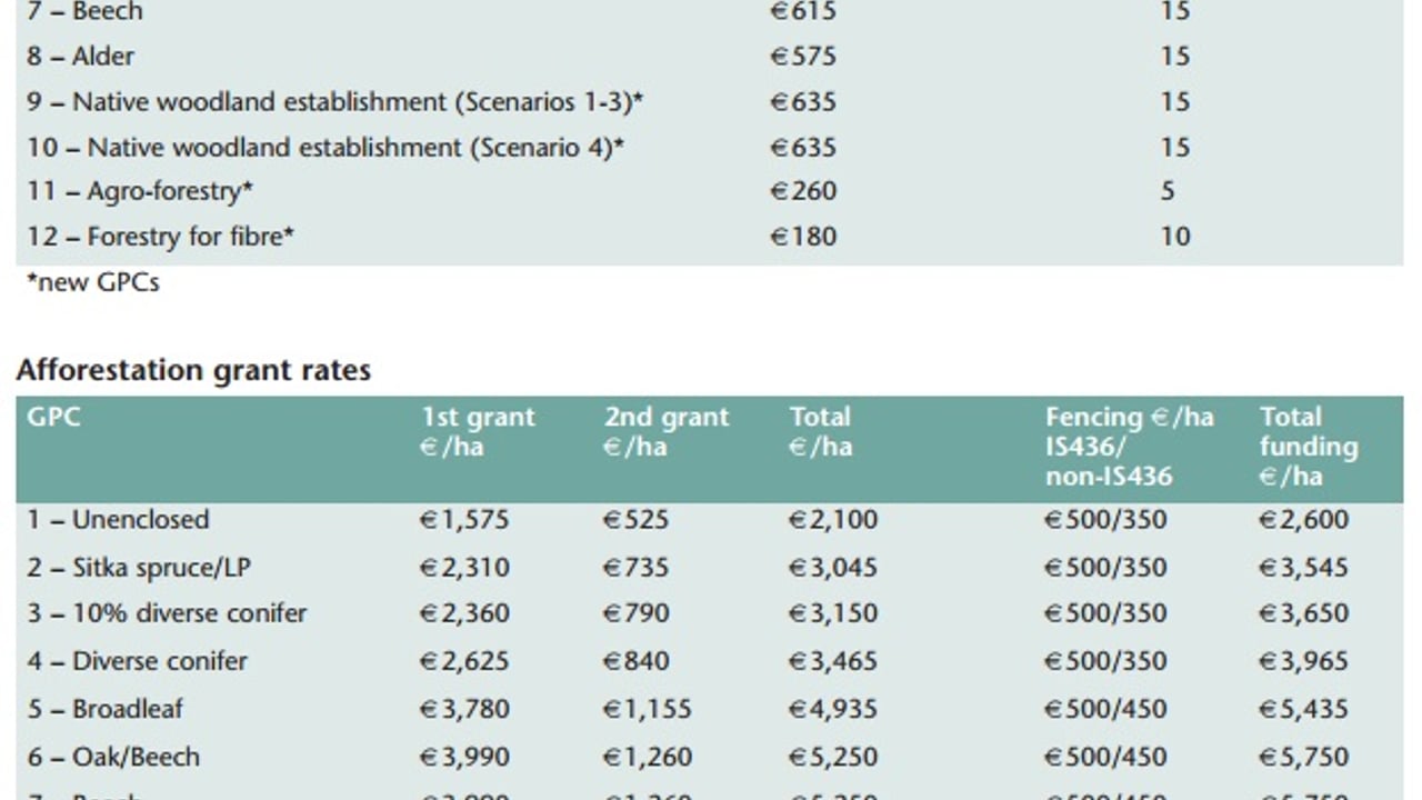 Why land use changes could help Irish farmers reduce greenhouse gas emission targets