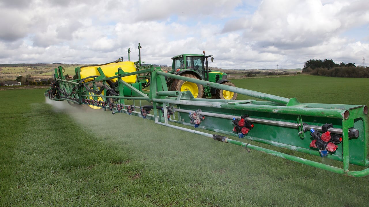 Resistance to fungicides on the increase in wheat crops - Teagasc
