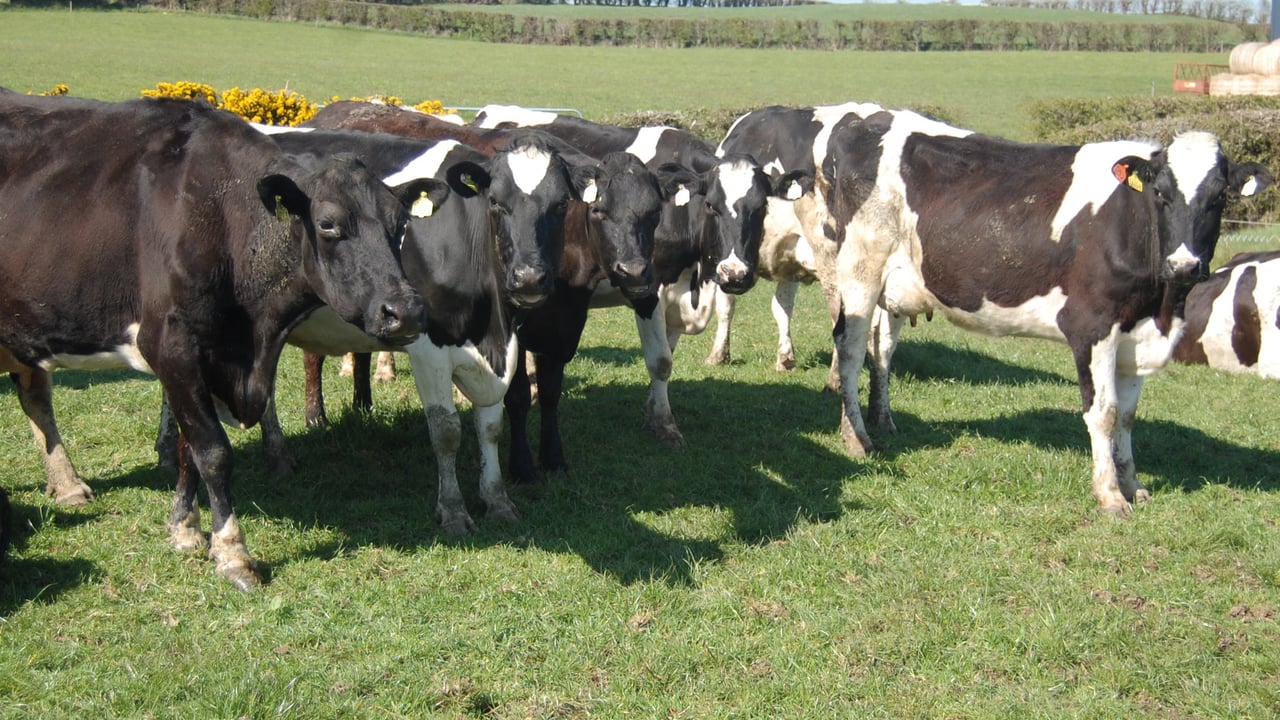 Teagasc finalises dairy share farming agreement