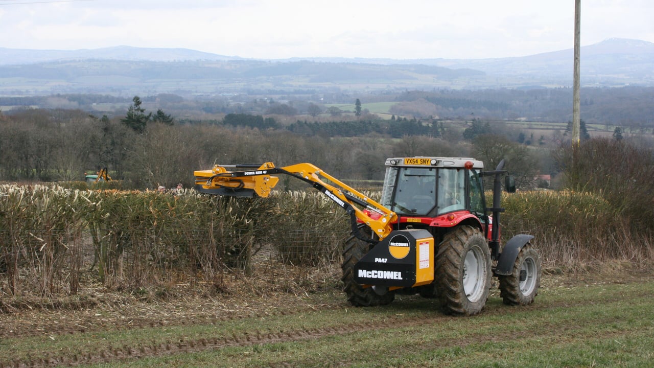 'Bird nesting season does not end early and calls to change hedgecutting dates unjustified'