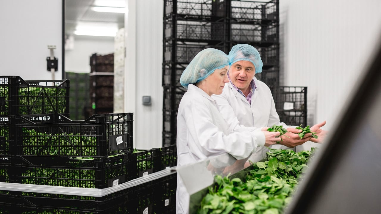 Stephen McCormack , Managing Director of McCormack Family Farms and Senior Agri Food and Drink Manager at Ulster Bank, Dr Ailish Byrne.