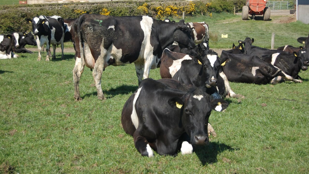 Independent Farmers: 'Omens are not good' for supply chain watchdog