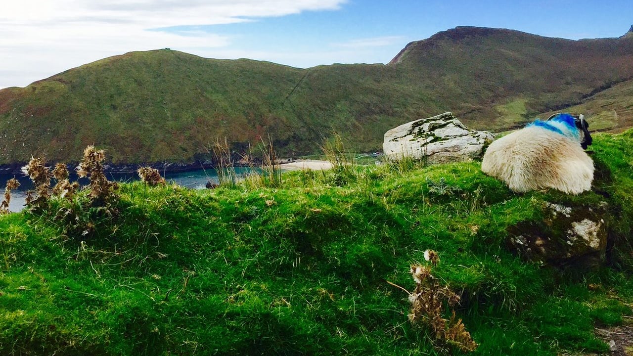 Indemnity scheme to cover 'upland areas initially'