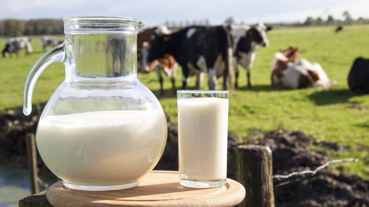 Restrictions on sale of raw milk in UK to remain in place
