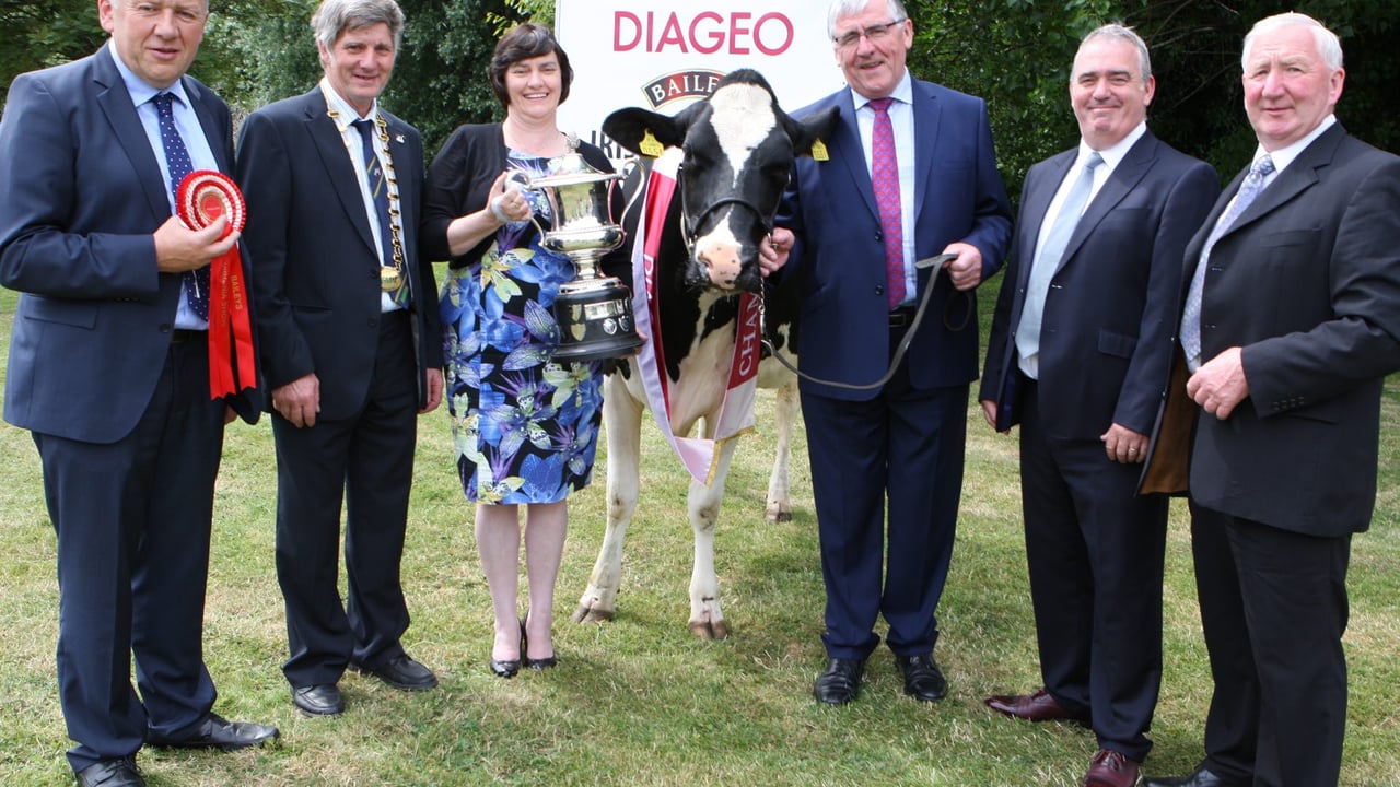 Minister of State Tom Hayes at the launch of the 2015 Diageo Baileys Irish Champion Cow Competition