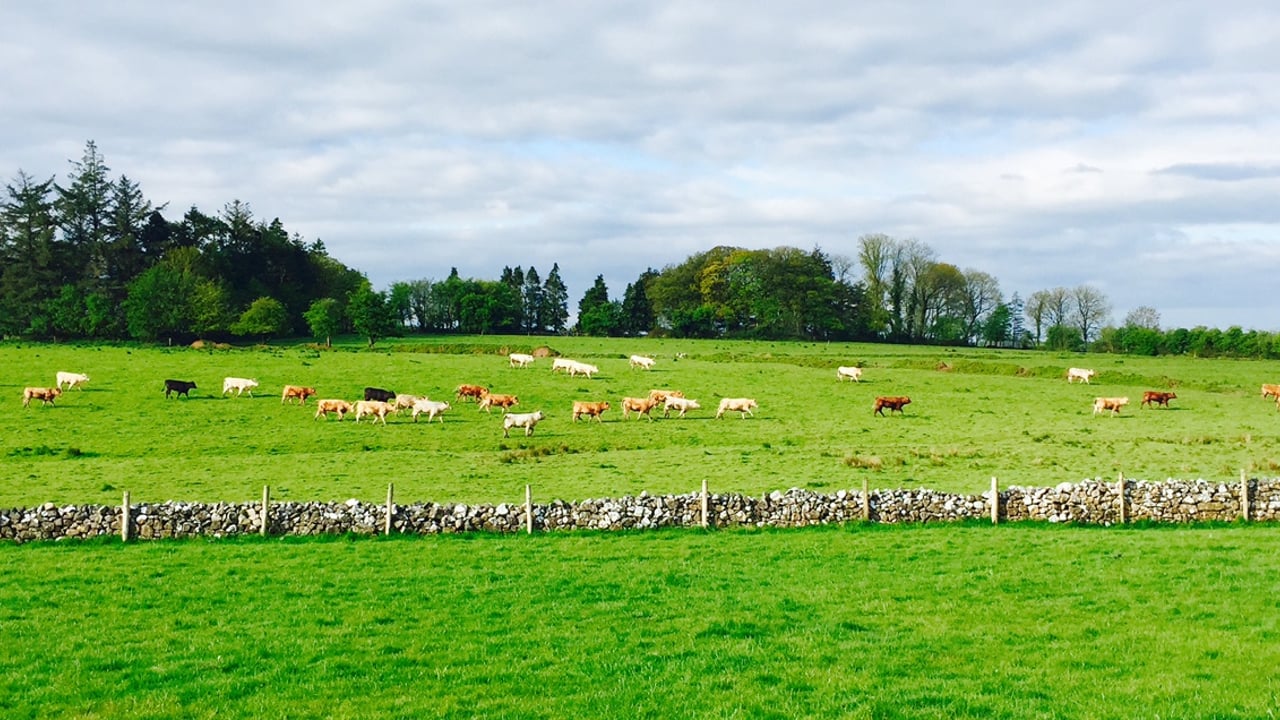 Cork TD urges €10,000 base payment in agri-environment pilot scheme