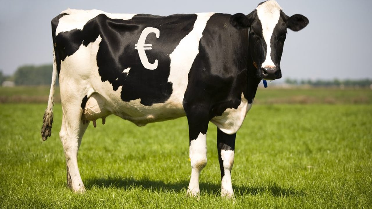 Talking down 2016 milk prices is ill-advised and damaging - IFA