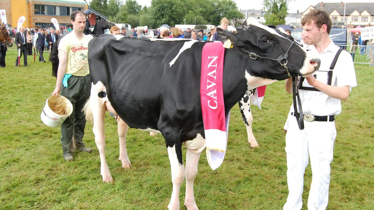 Pics: Were you caught on camera at the Virginia Show?