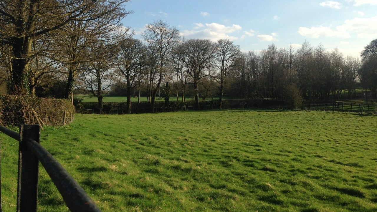 7,500 trees to be planted by children in Roscommon under environmental initiative