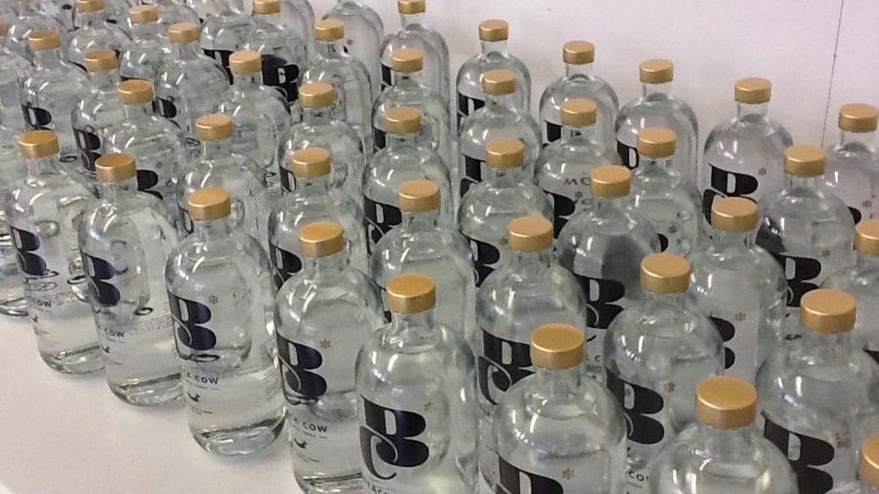 Image: Black Cow Vodka (Twitter)