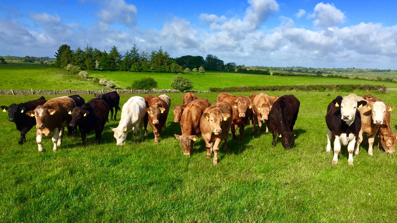How to spot and treat botulism as outbreaks continue in the North
