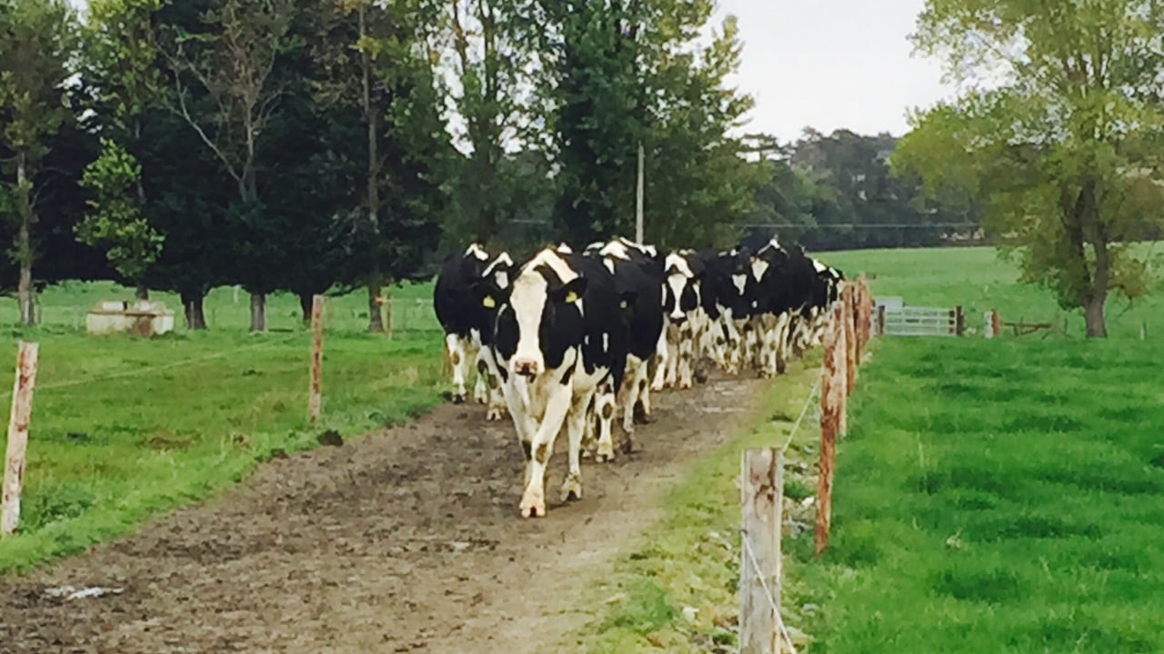 New farm roadway and water rules: Are you up to speed?