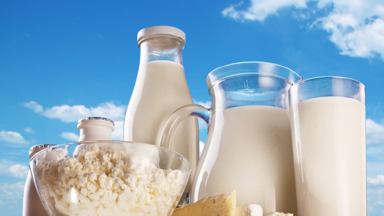 Tenders sought for €14.7m  prison and defence forces dairy contract