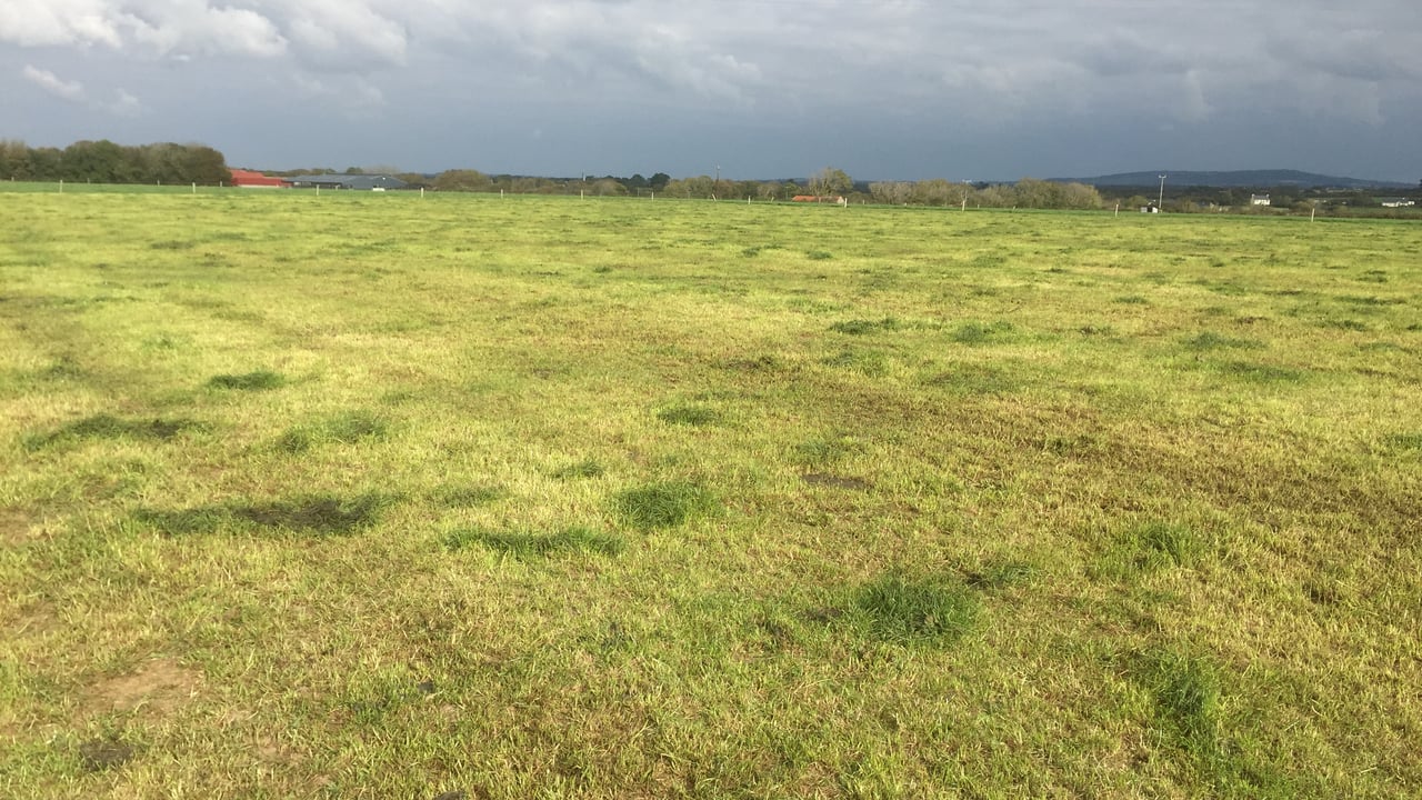 Grass growth: OK rain; the joke is over...