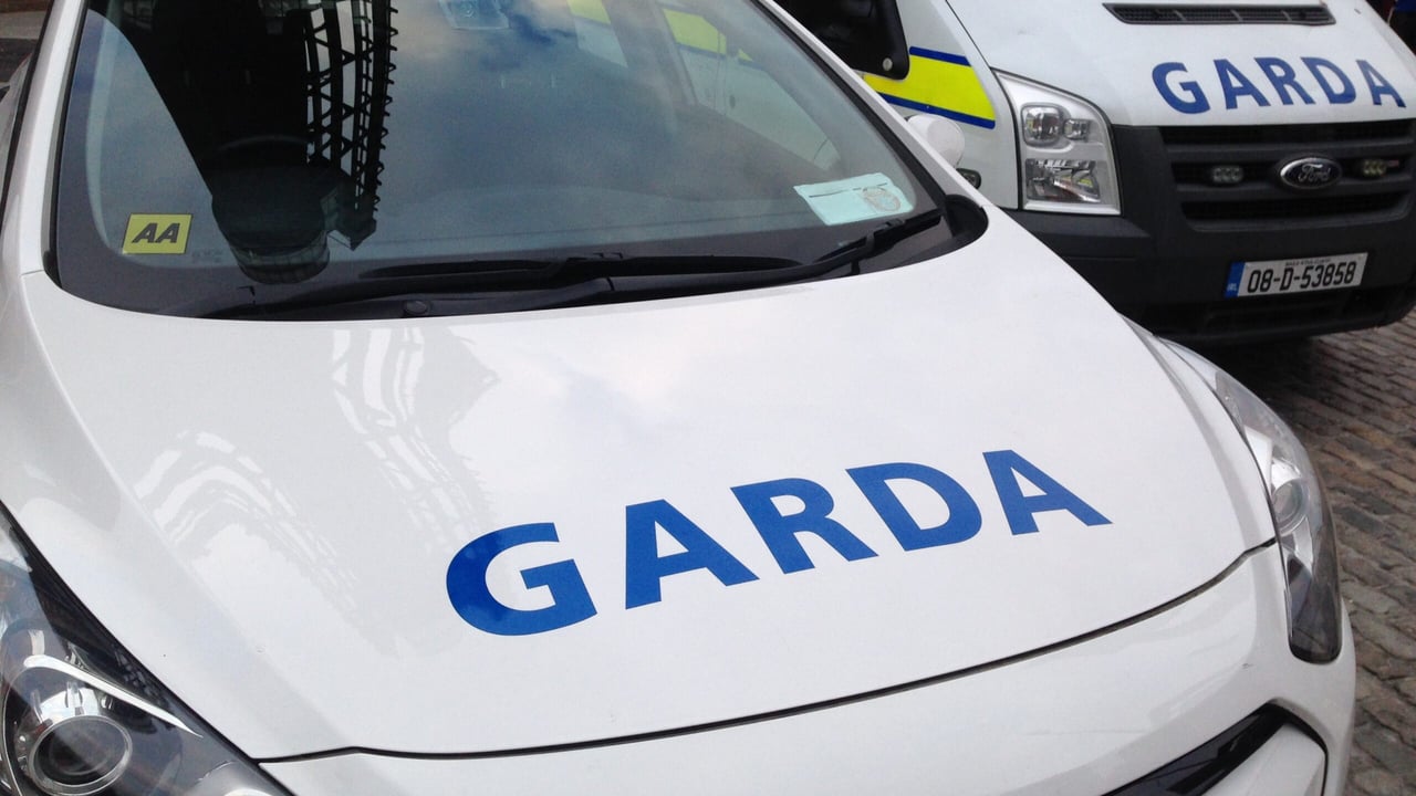 'Lucky motorist' escapes uninjured after colliding with a cow