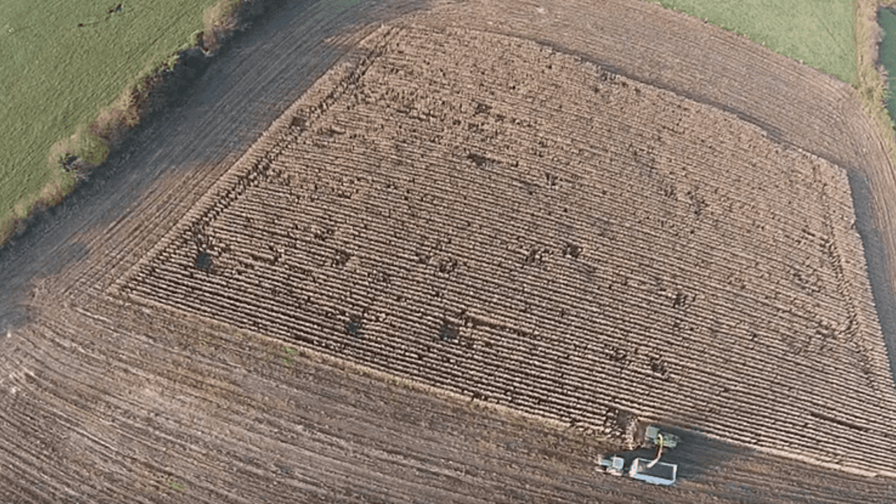Video: The maize harvest in Tipperary gets wrapped up