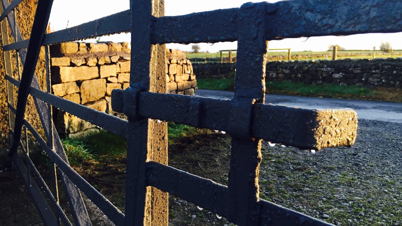 'I can go 5 miles and come back with a gun'- Gang member tells farmer