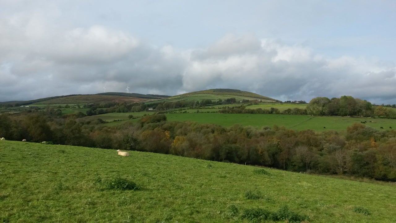 Farmers fearful of income cuts from land eligibility inspections - INHFA