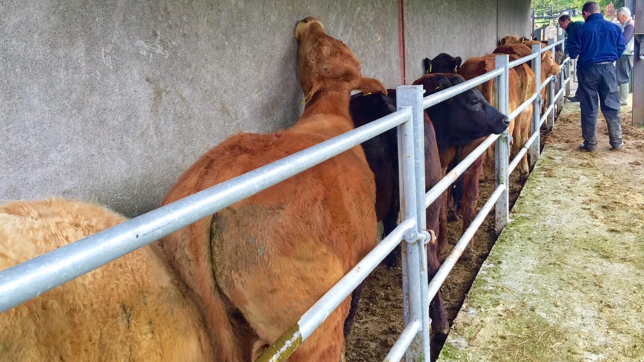 Department spend on disease eradication schemes down in 2015