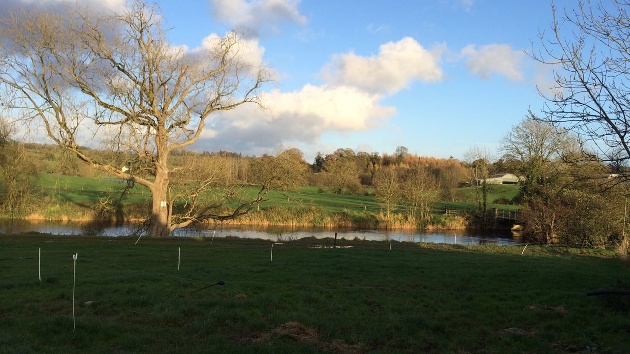 Cavan County Council running survey on local Climate Action Plan