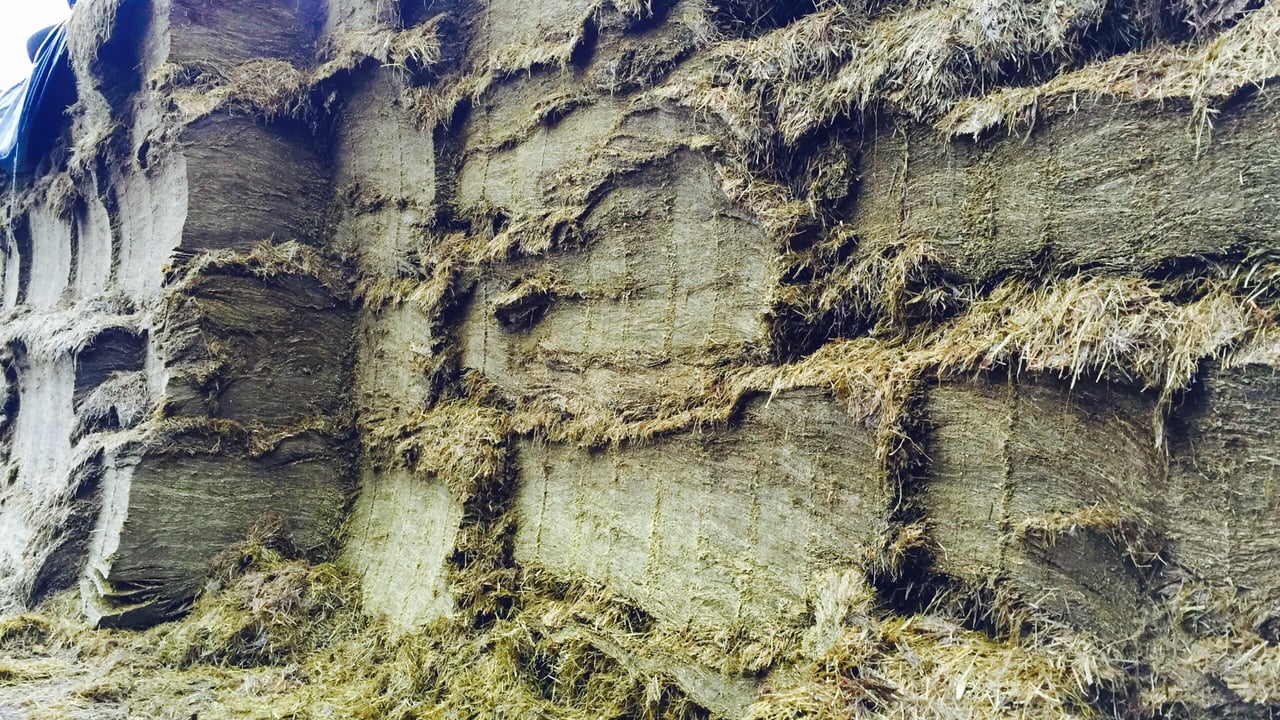 Fertiliser: Start planning now for best silage results
