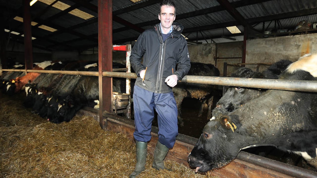 Joe Healy. Pic : Lorraine O'Sullivan