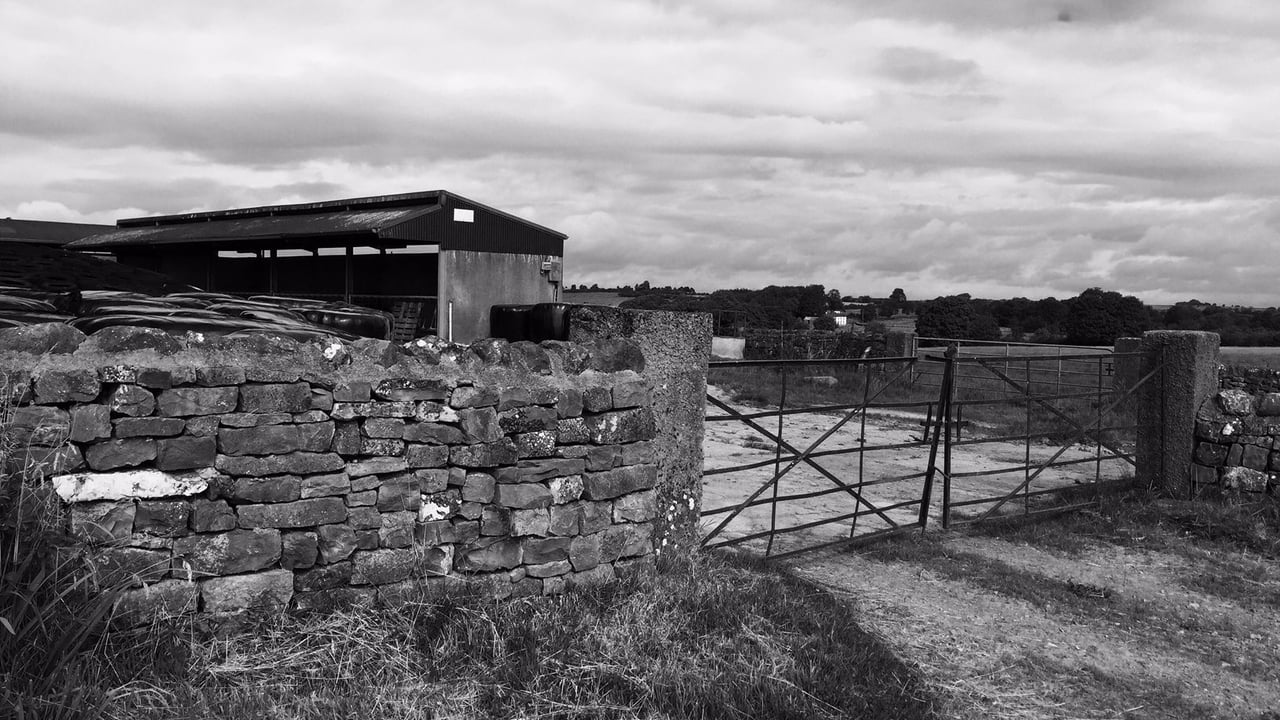 Man found to be in possession of explosives at a farmyard jailed
