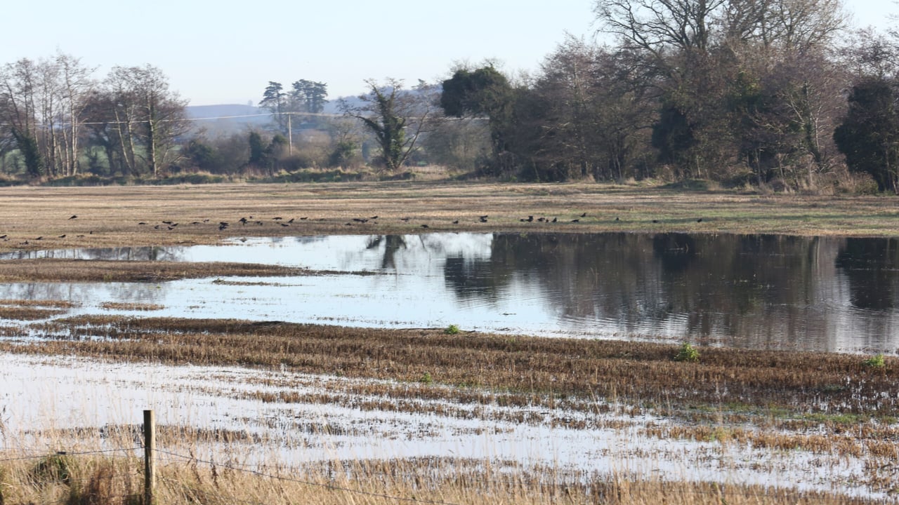 Potassium critical in reversing impact of waterlogging in soils