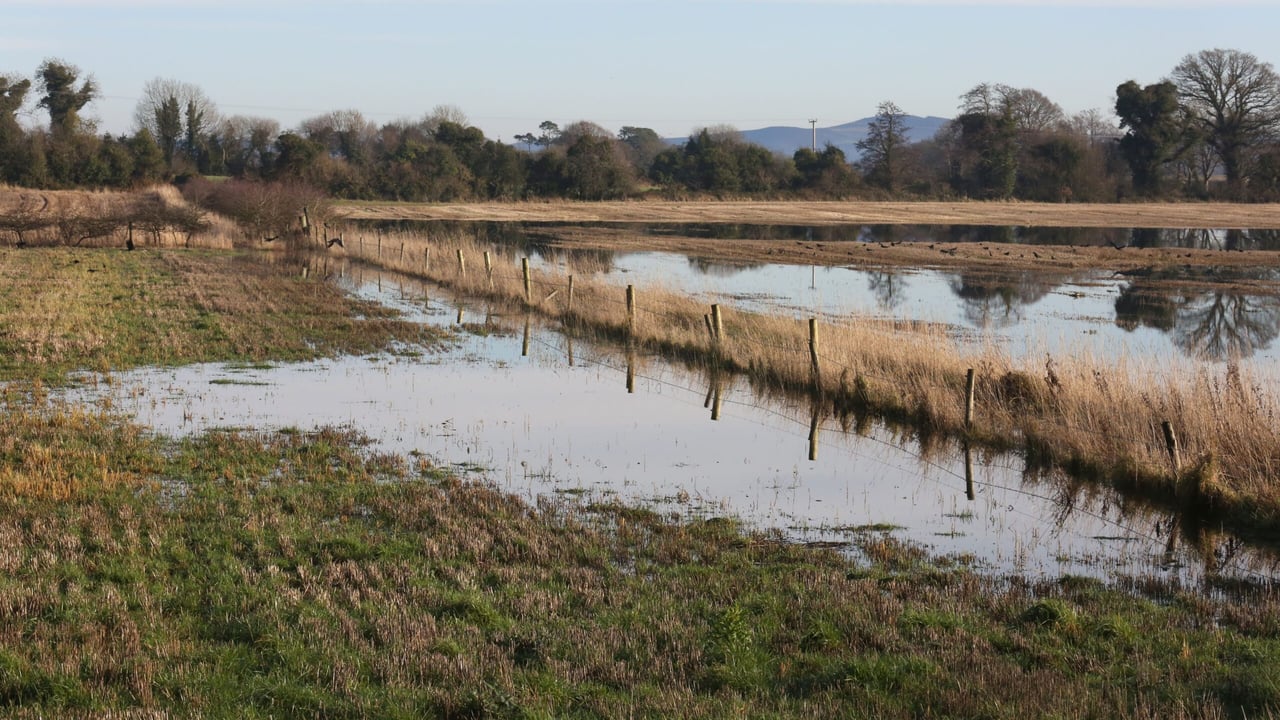 Farmers in the North urged to apply for flood relief