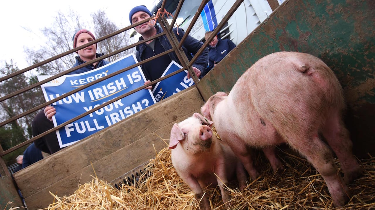 IFA pig committee facing split as protest planned at HQ