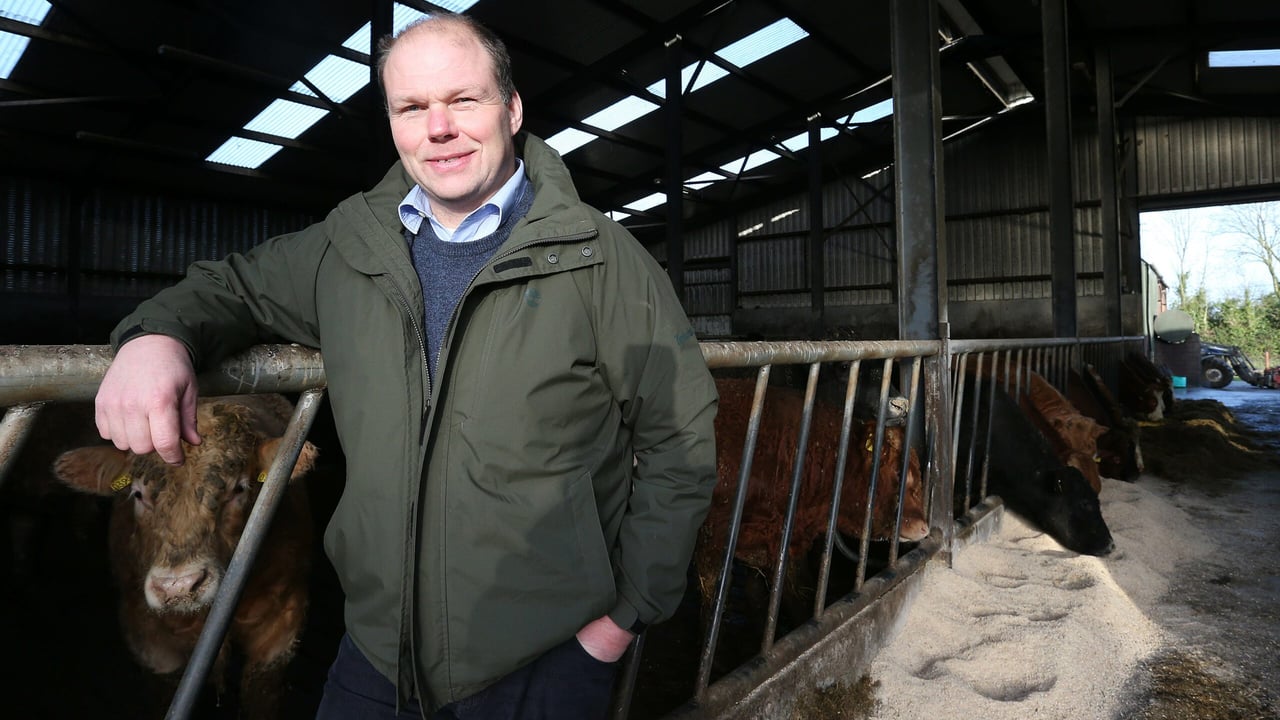 Henry Burns: Bord Bia and the processors are not working hard enough for farmers