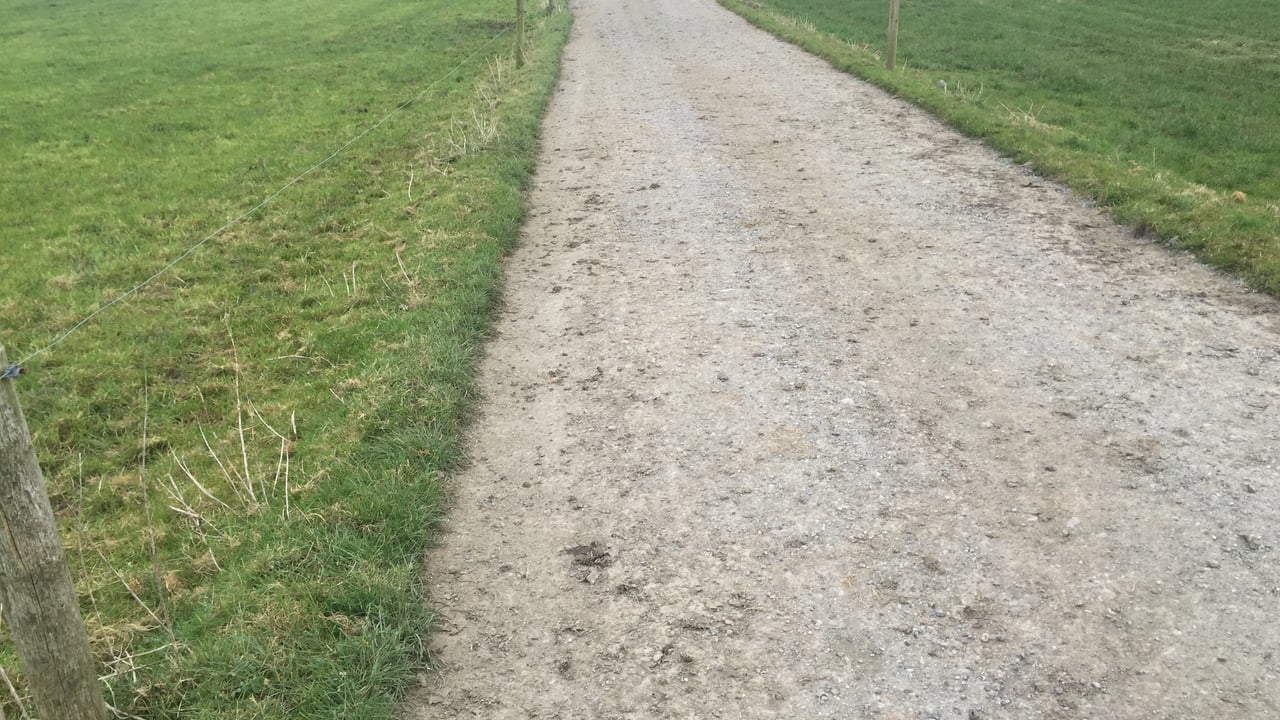Roadway and paddock system on Daly's farm.