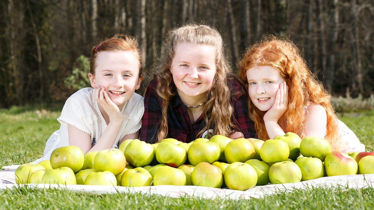 Armagh to mark the start of this year's apple growing season with three day festival