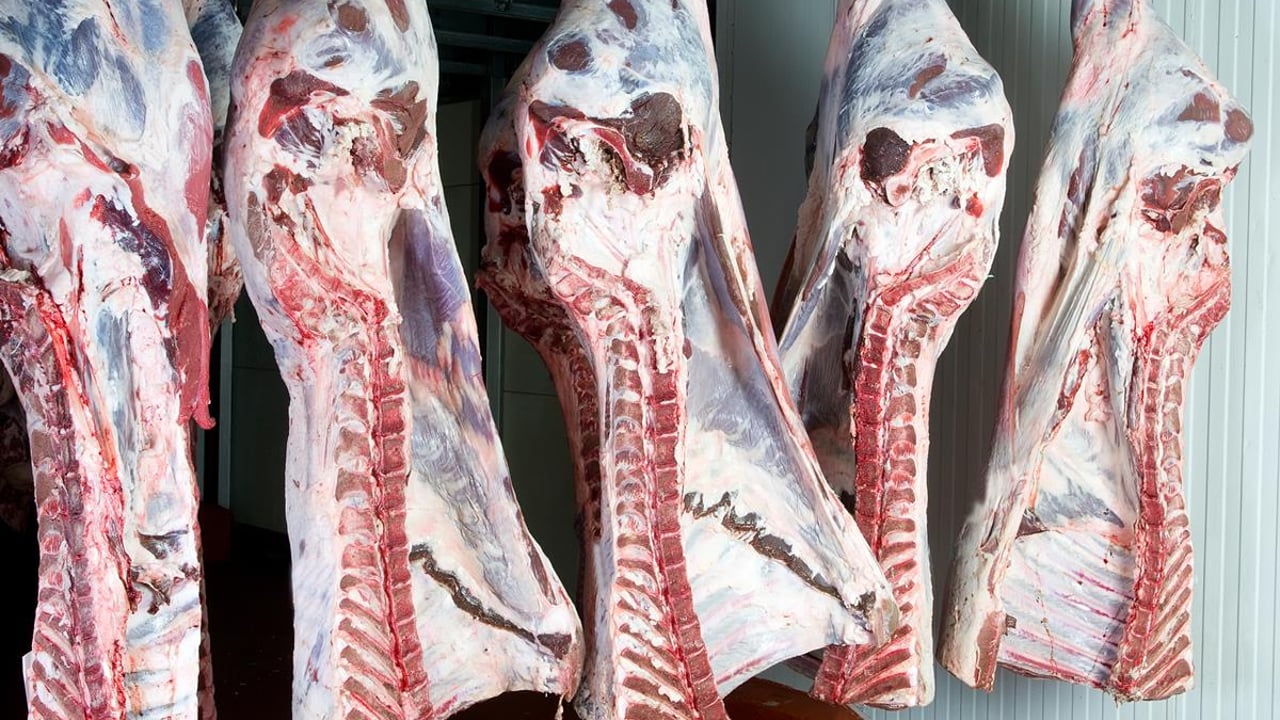 EU average beef price €6.54/kg at start of July
