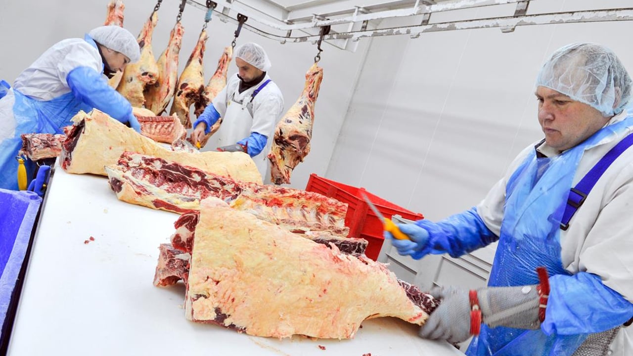 Supply catches up to demand as beef quotes stagnate