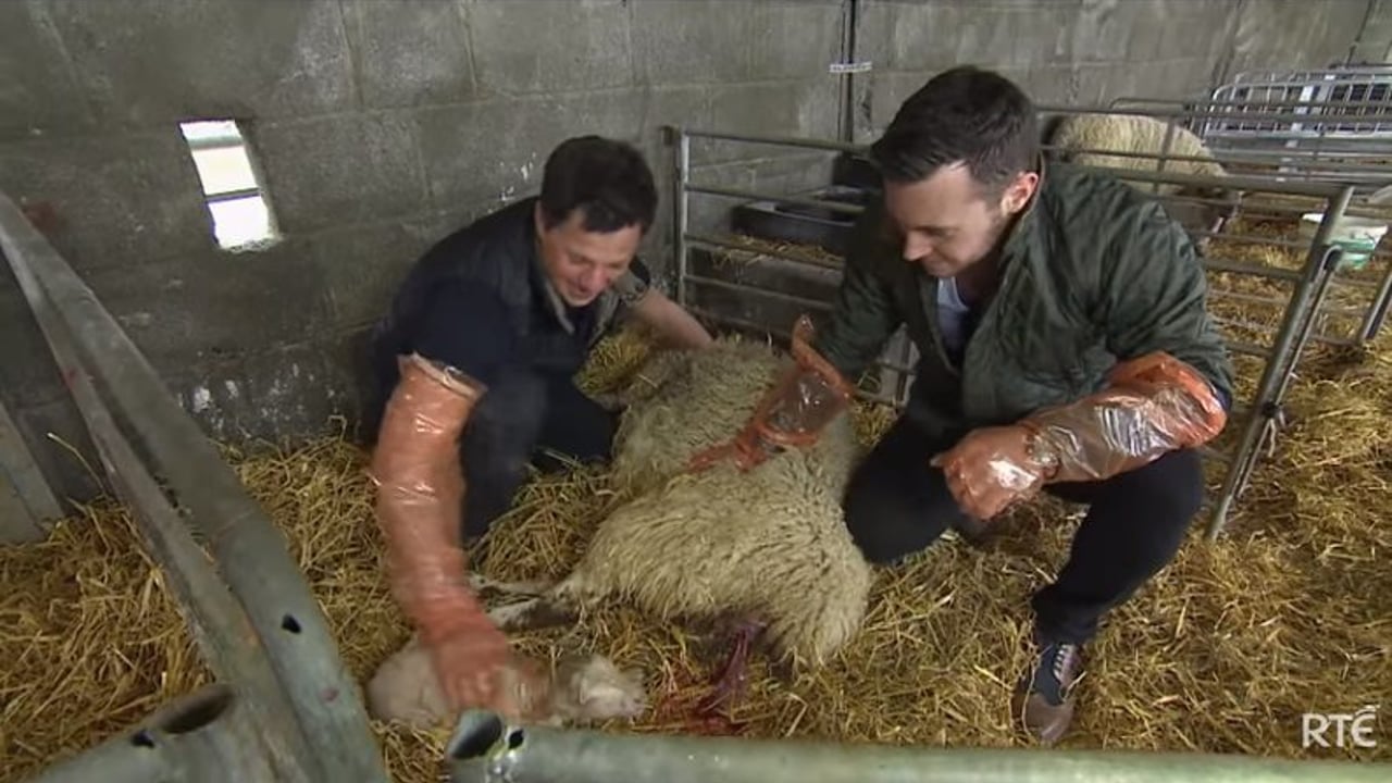 Image: RTE (YouTube)