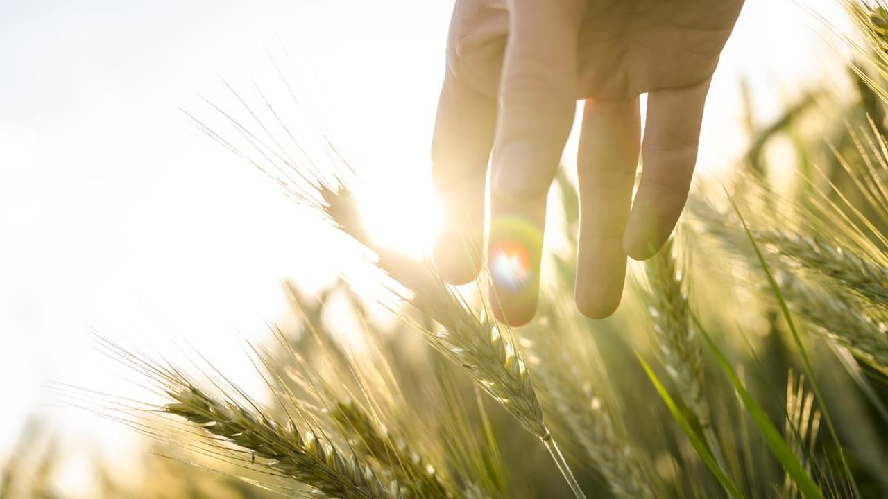 23% of skin cancer deaths from outdoor and farming sectors