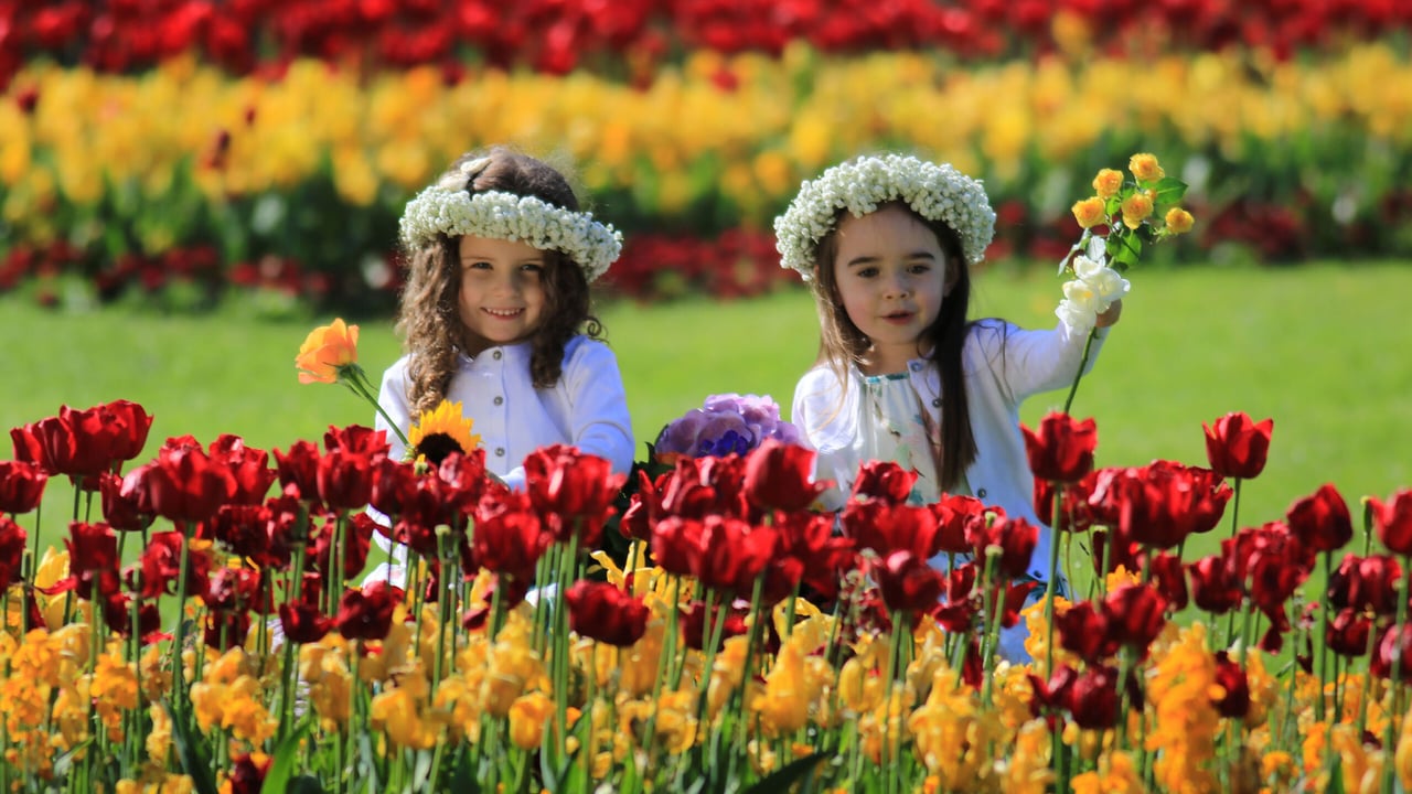 Eva Casey (5) and Doireann McNally (5) at the Bloom 2016 launch