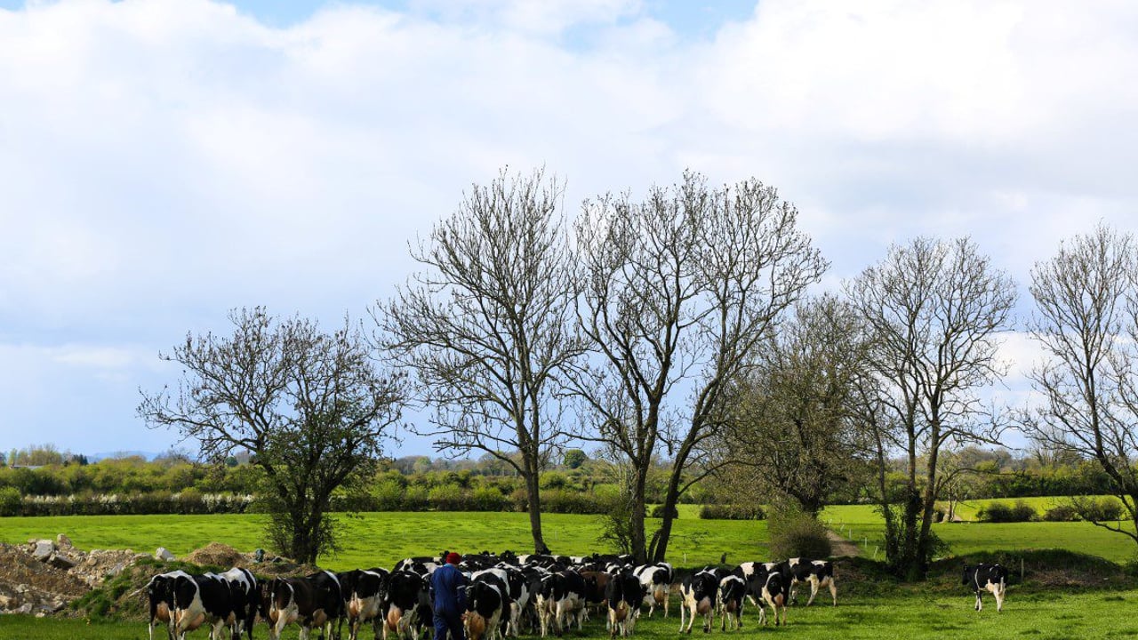Invest in worm control to promote productivity in the dairy herd.