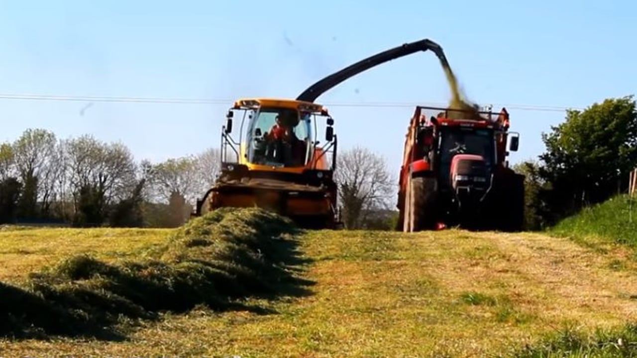 Video: Great footage of silage 2016 from mowing to packing the pit