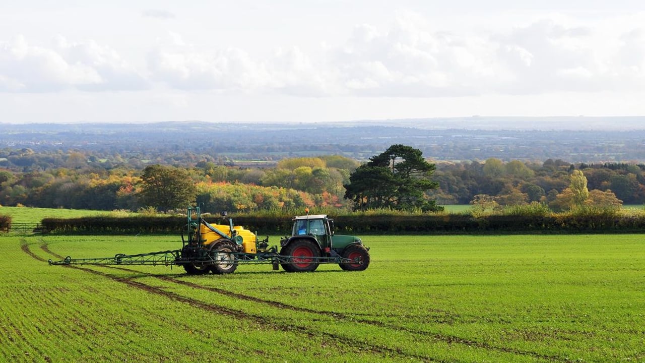 Weed control in spring barley: the need to use herbicides effectively