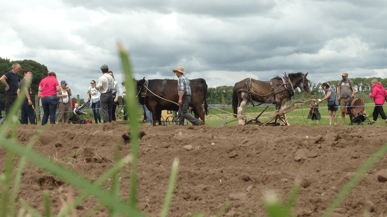 Video and picture highlights from Teagasc 1916 exhibition in Athenry