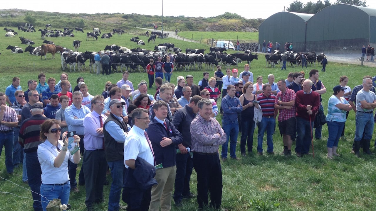 Part of the large crowd at the open day on the O'Sullivan farm. 